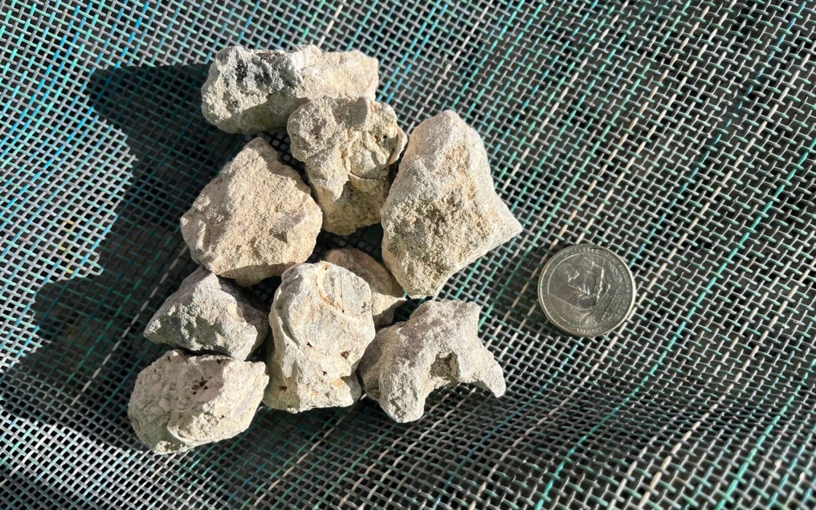 Pieces of #57 limestone next to a coin for scale