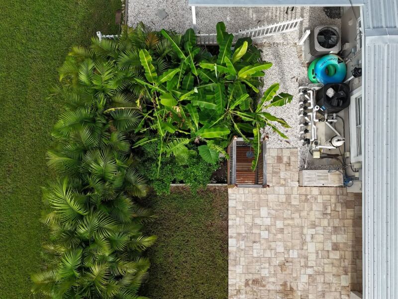 Overhead view of a planted bed of palms and bananas beside a paver patio