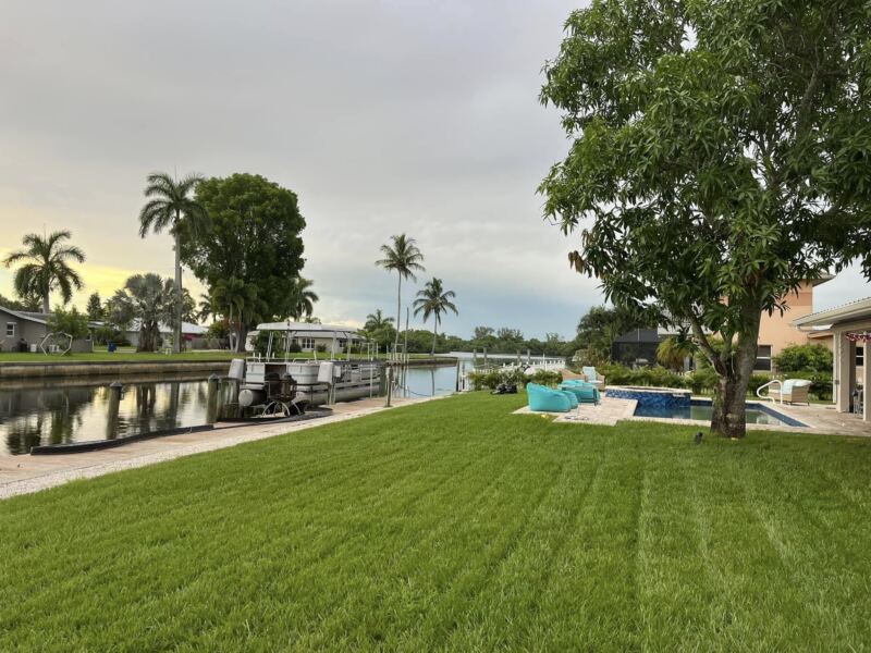 New sod across a canal-front backyard beside the pool