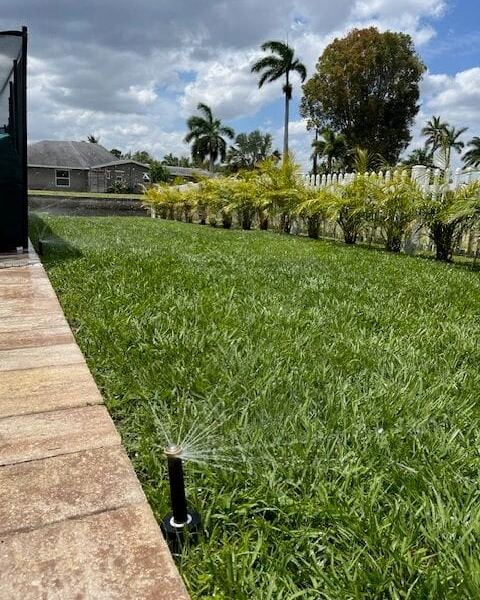 Irrigation spray head running beside a paver walkway