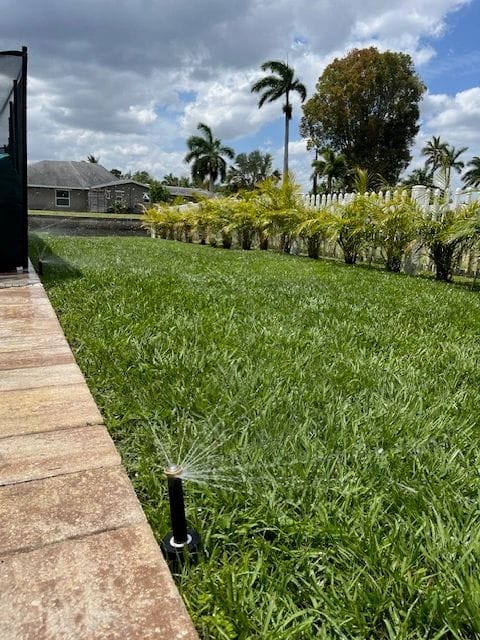 Irrigation spray head running beside a paver walkway