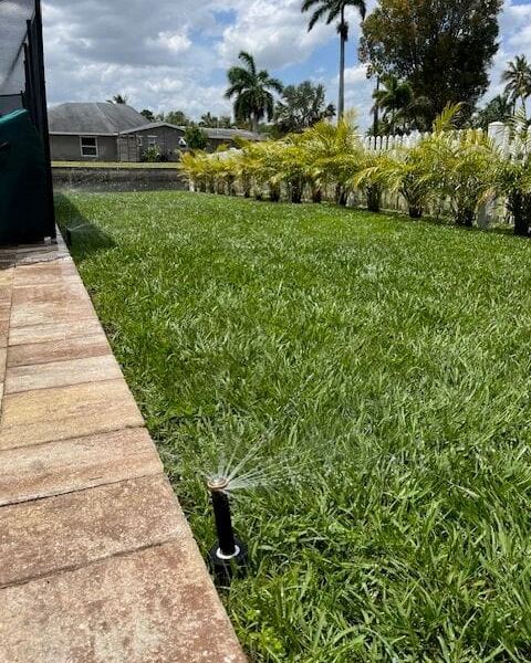 Irrigation spray head watering lawn along a paver edge