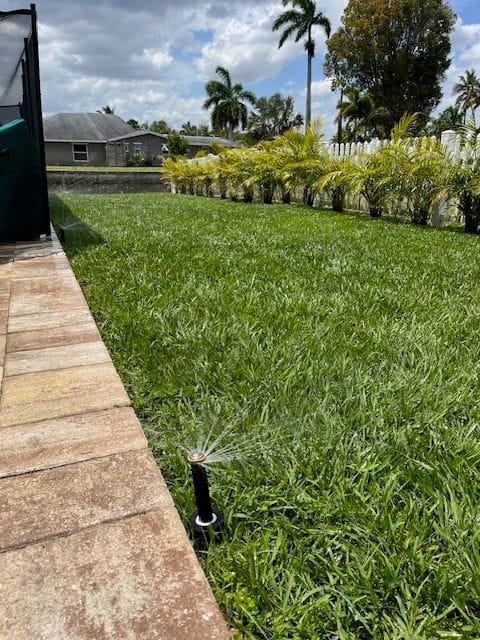 Irrigation spray head watering lawn along a paver edge