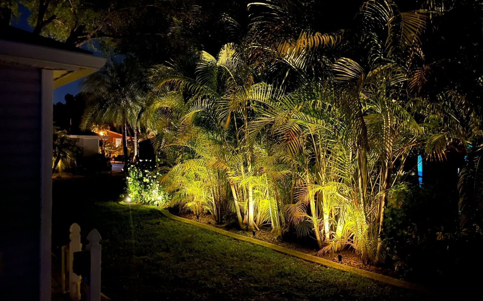 Palm bed uplit at night along a lawn edge