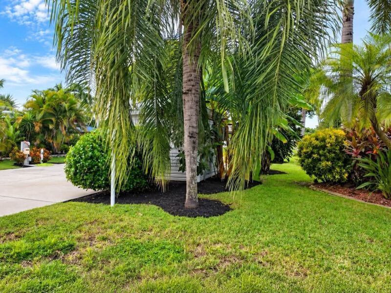 After: trimmed palms over fresh mulch beds and lawn