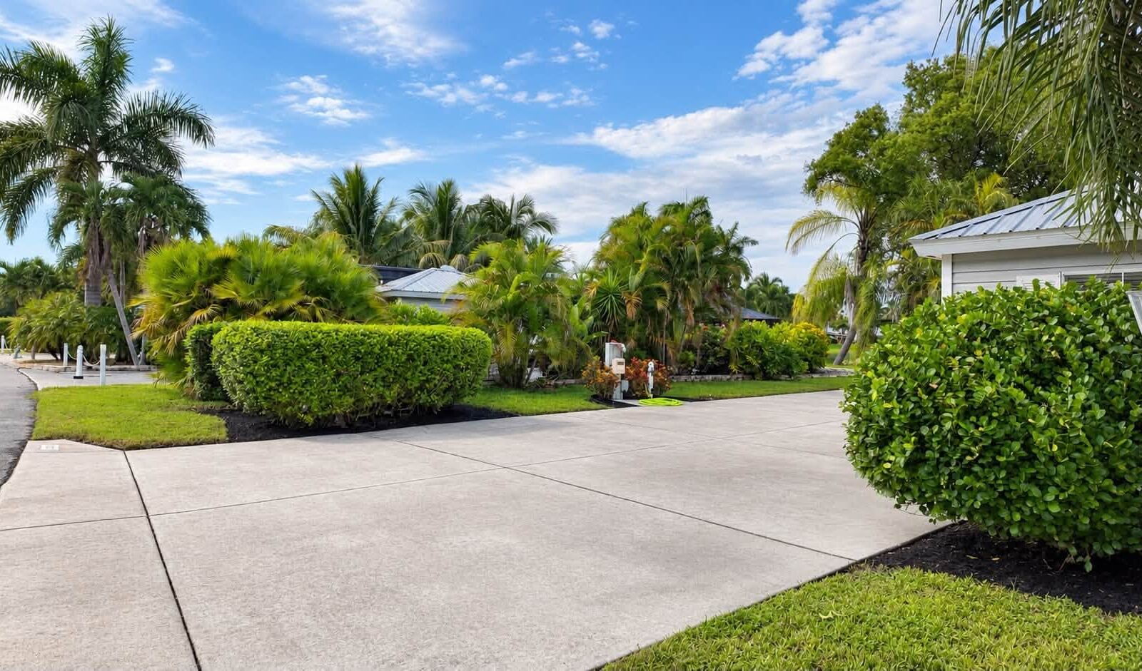 After: trimmed hedges and mulch beds along a clean driveway