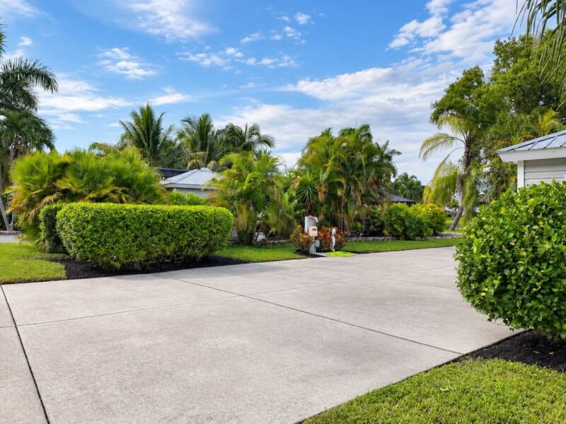 After: trimmed hedges and mulch beds along a clean driveway