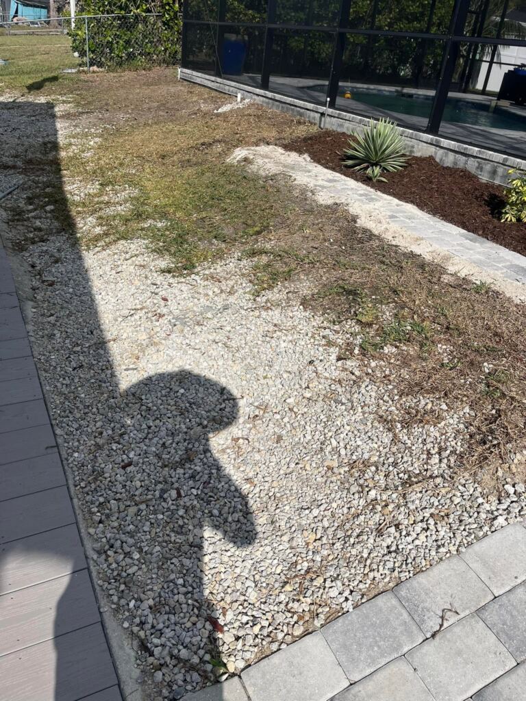 Dead grass and scattered rock along a seawall before the rock border