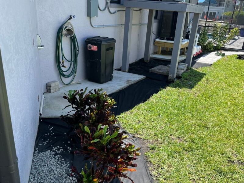 Crotons being planted into a new rock bed with landscape fabric